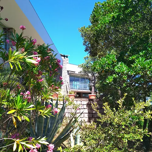 Façade et jardin méditerranéen